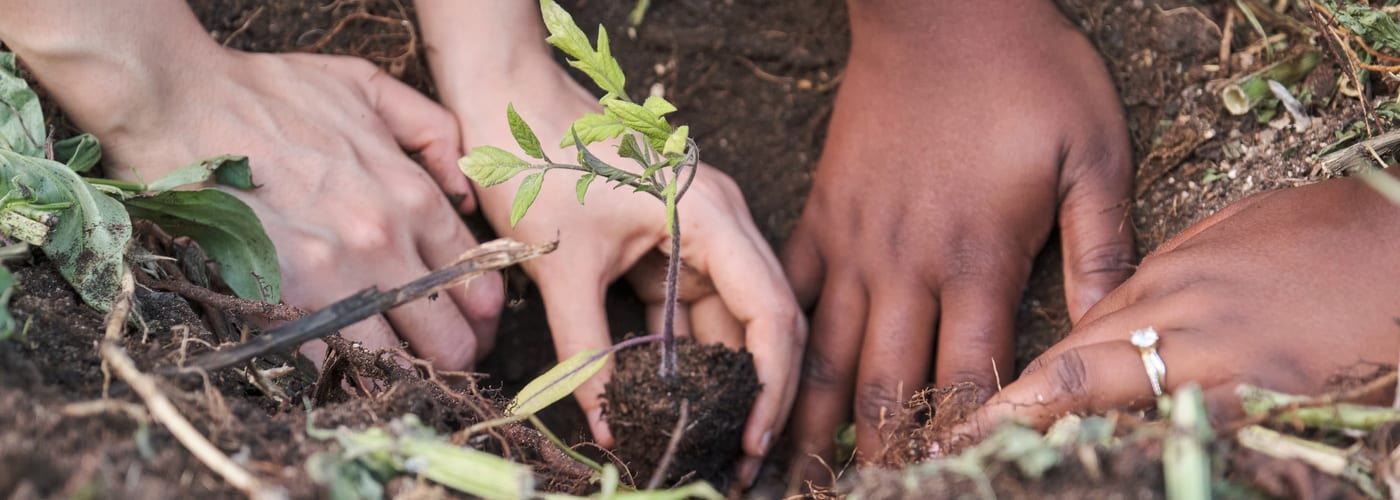 Young people planting a tree together in Banbury