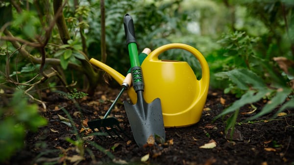 Community members tending an allotment garden together